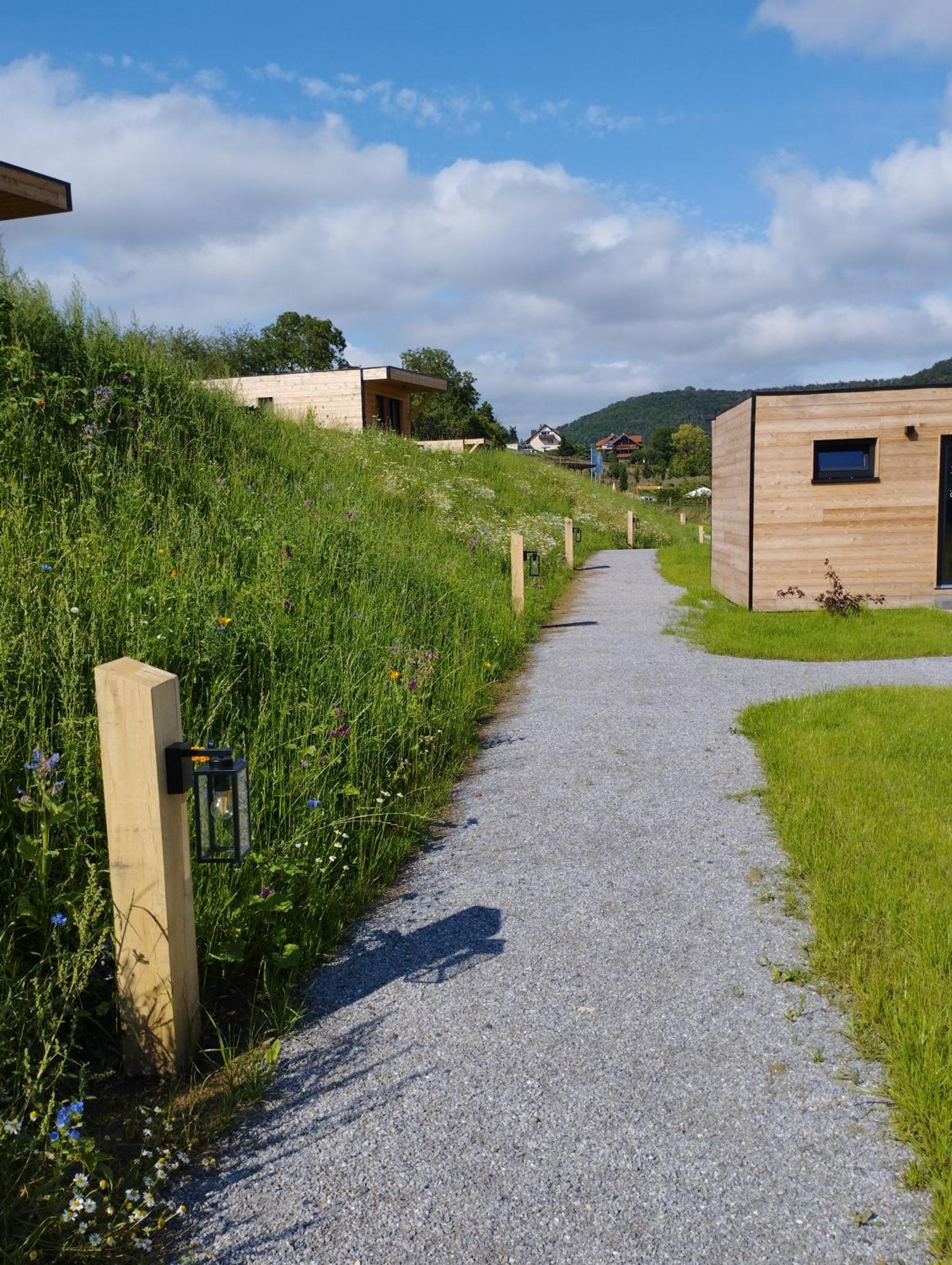 Ferienresort Edersee Gmbh Hemfurth-Edersee Экстерьер фото